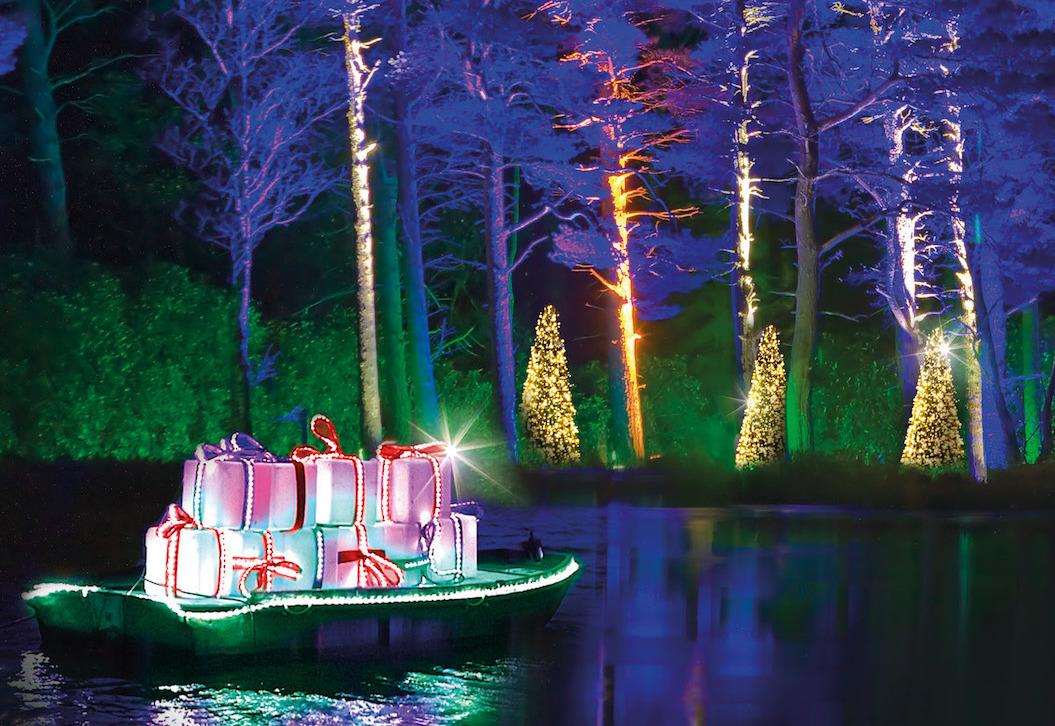 Bedgebury launches Christmas lights trail