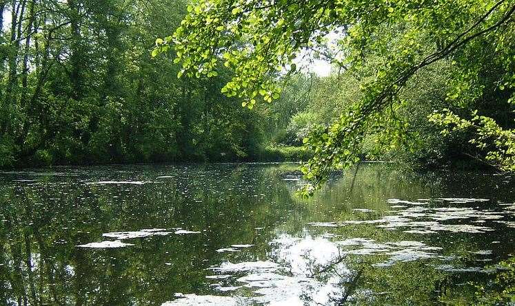 Brockhill Country Park in Hythe