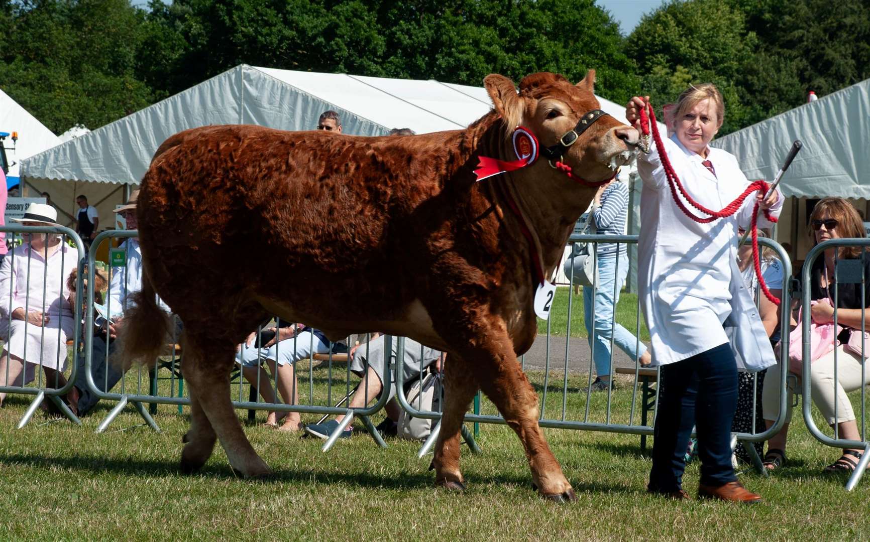 Everything you need to know about the Kent County Show 2024 in Detling ...