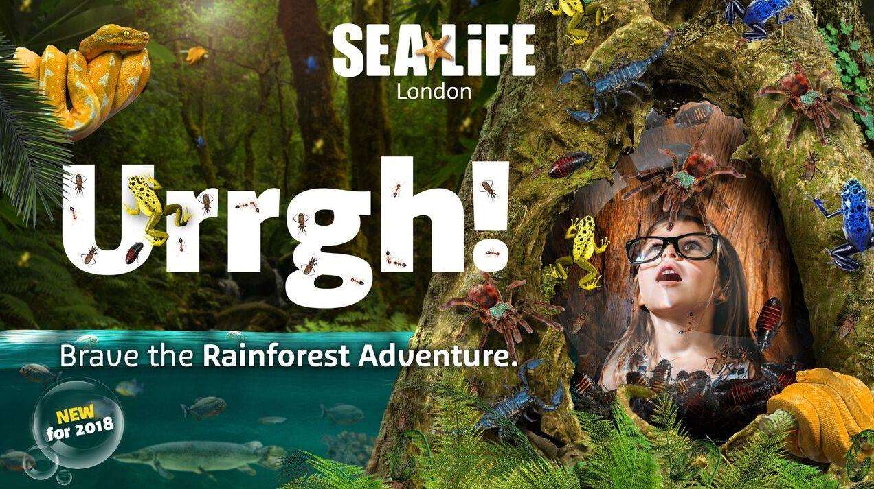 How about a walk through Sea Life London's Rainforest to see the Motoro stingrays - the aquarium's latest addition