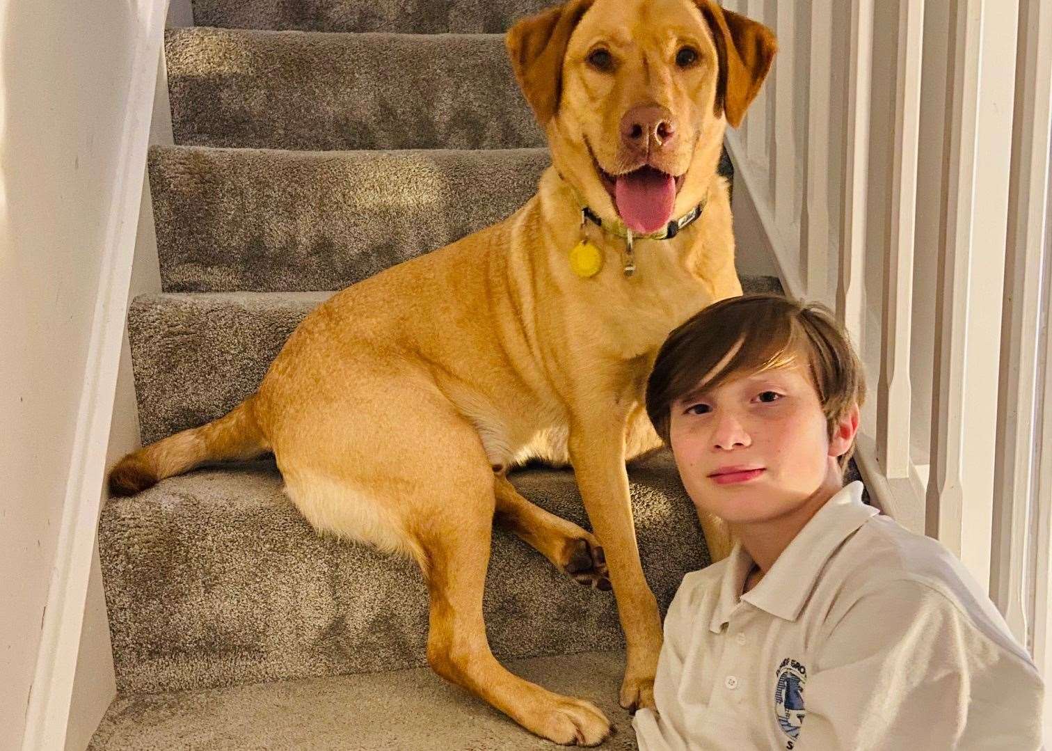 Assistance dog Bailey joined the Hillcock family to help support son Luca. Image: Joanna Hillcock.