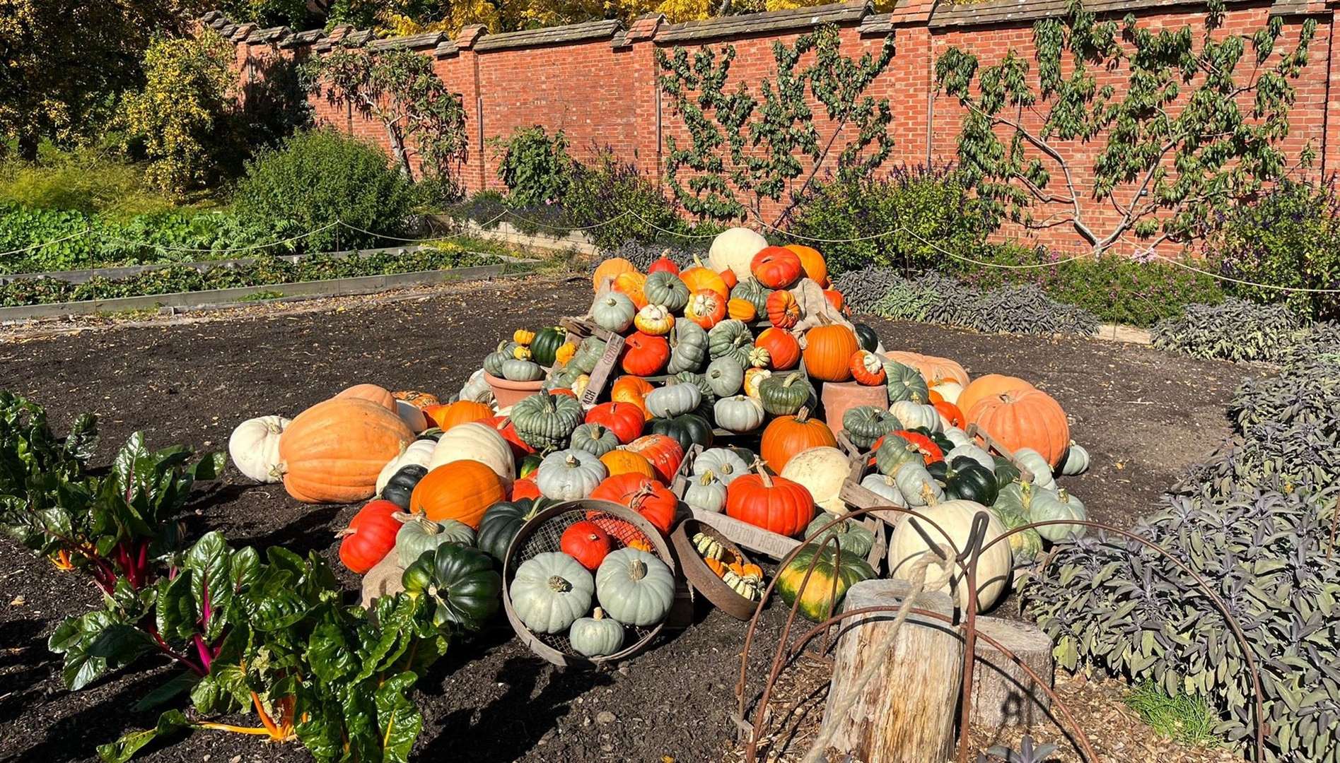 Soak up the spooky Halloween atmosphere. Picture: ©National Trust