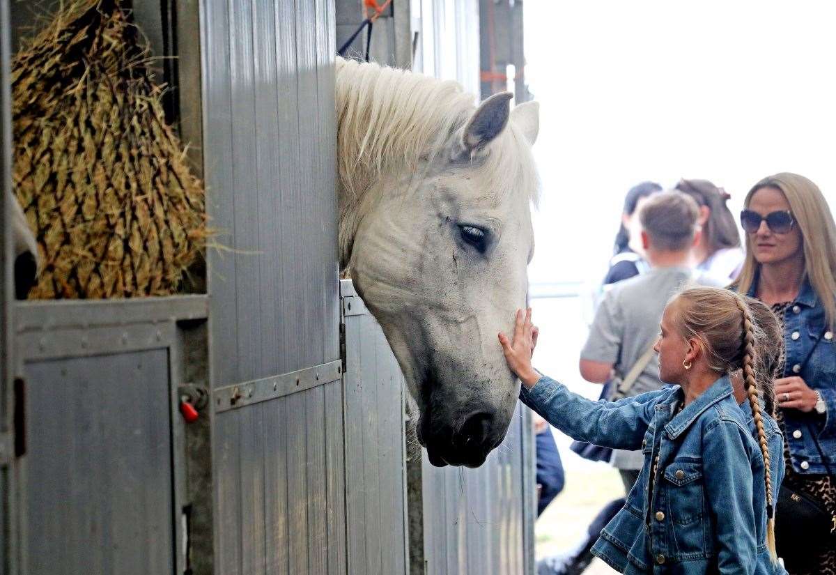 Everything you need to know about the Kent County Show 2024 in Detling