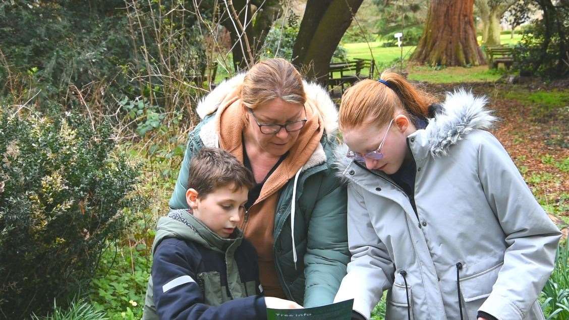 Find the bugs and forage in the woodland at this seaside museum. Picture: Powell-Cotton Museum