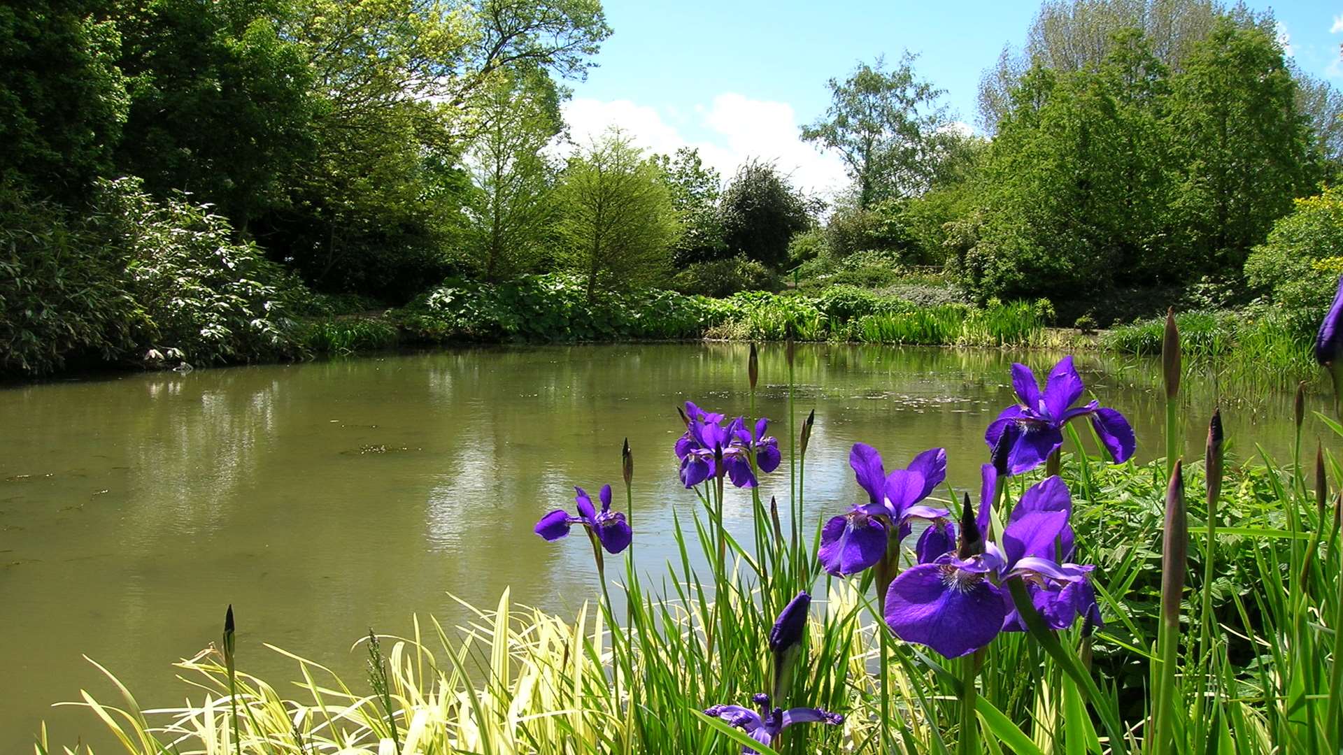 Themed gardens are complimented by natural style areas