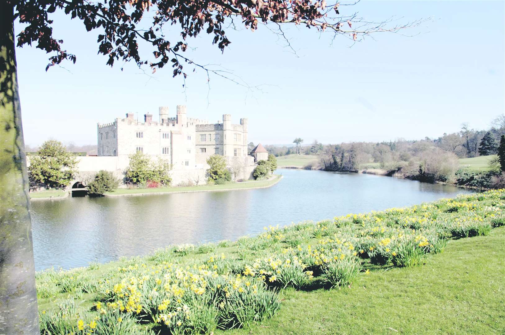 Walk for Parkinson's will be held at Leeds Castle this weekend. Picture: Matthew Walker