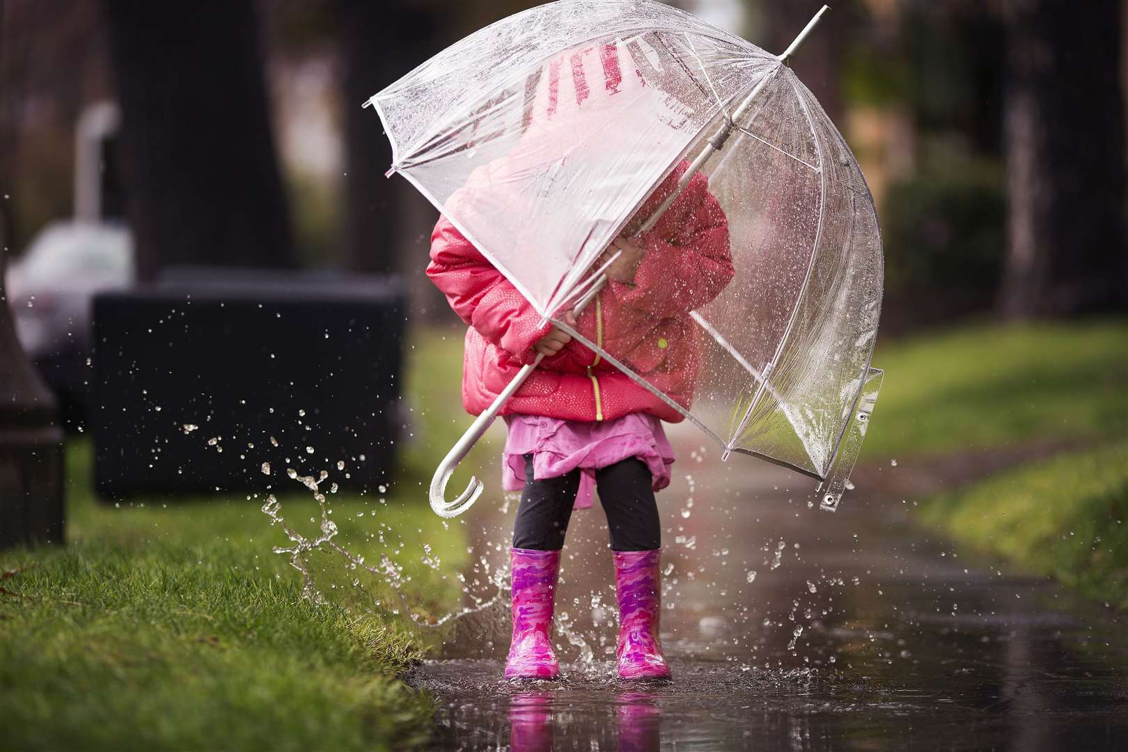 A rainy day in the puddles (1332824)