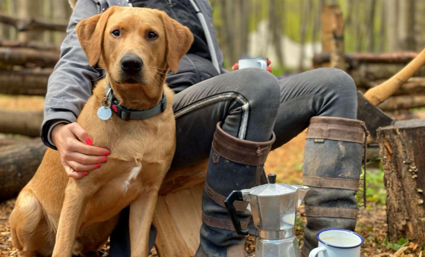 Lots of Kent’s campsites are dog-friendly, so even pets can come along for the trip. Picture: Facebook / Badgells Wood