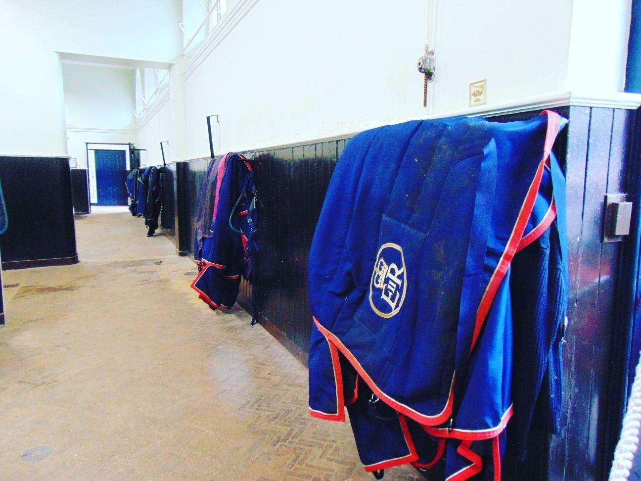 The Royal Mews in London is home to some of the Queen's carriage horses