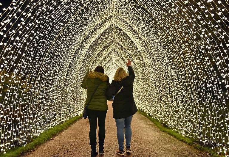 Tickets on sale for Christmas at Bedgebury light trail from November 2024