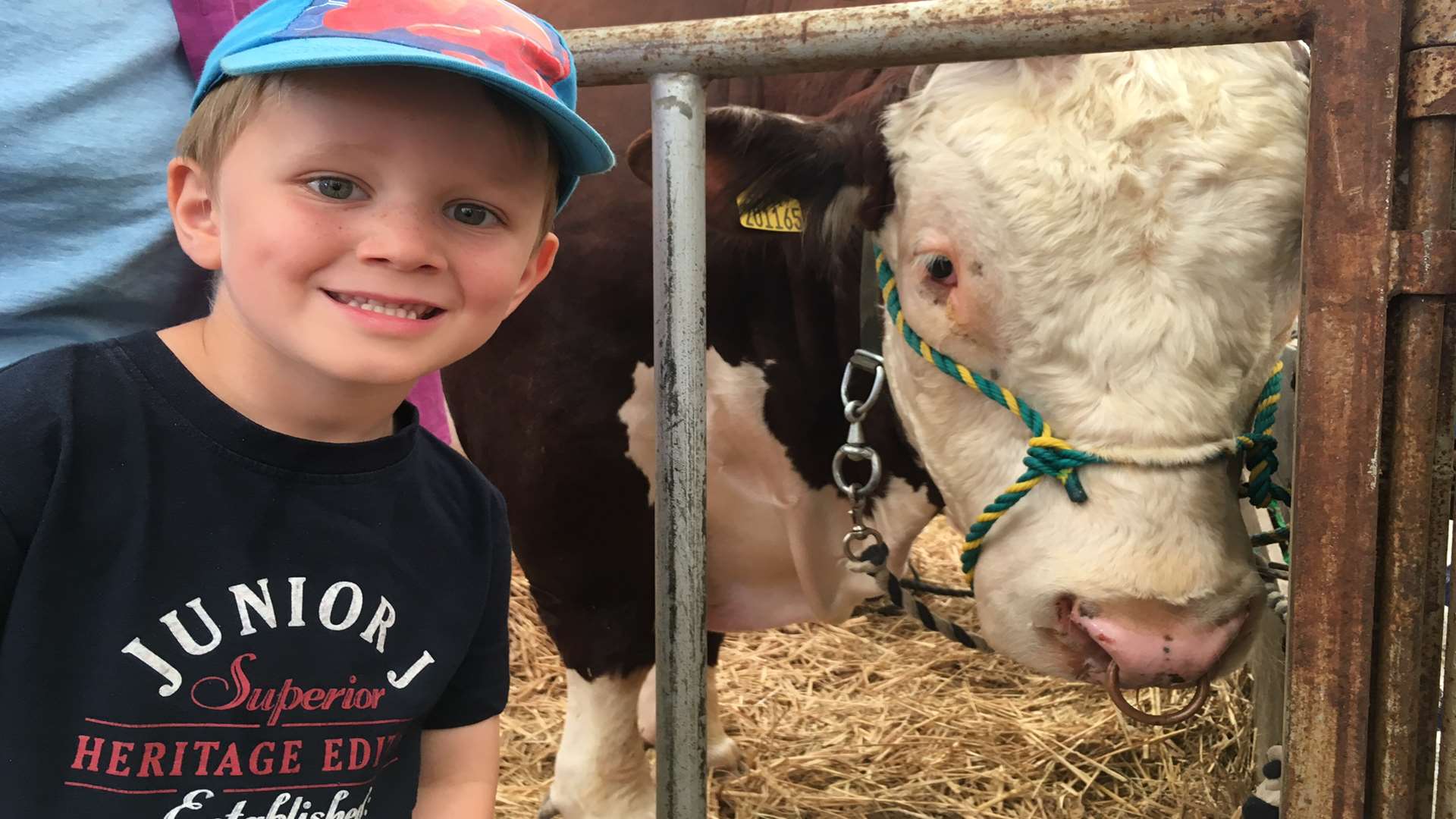 Make sure you meet the animals which are at the heart of the Kent County Show