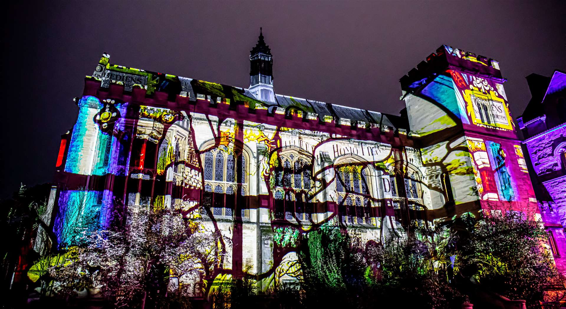 The new Luxmuralis light show, Fantastic Tales and Where to Find Them, is coming to Canterbury. Picture: Luxmuralis