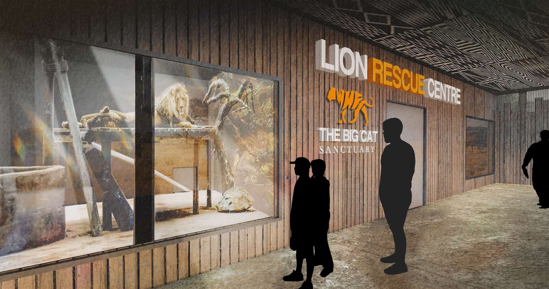 The Lion Rescue Centre will be home to all five cats. Picture: The Big Cat Sanctuary