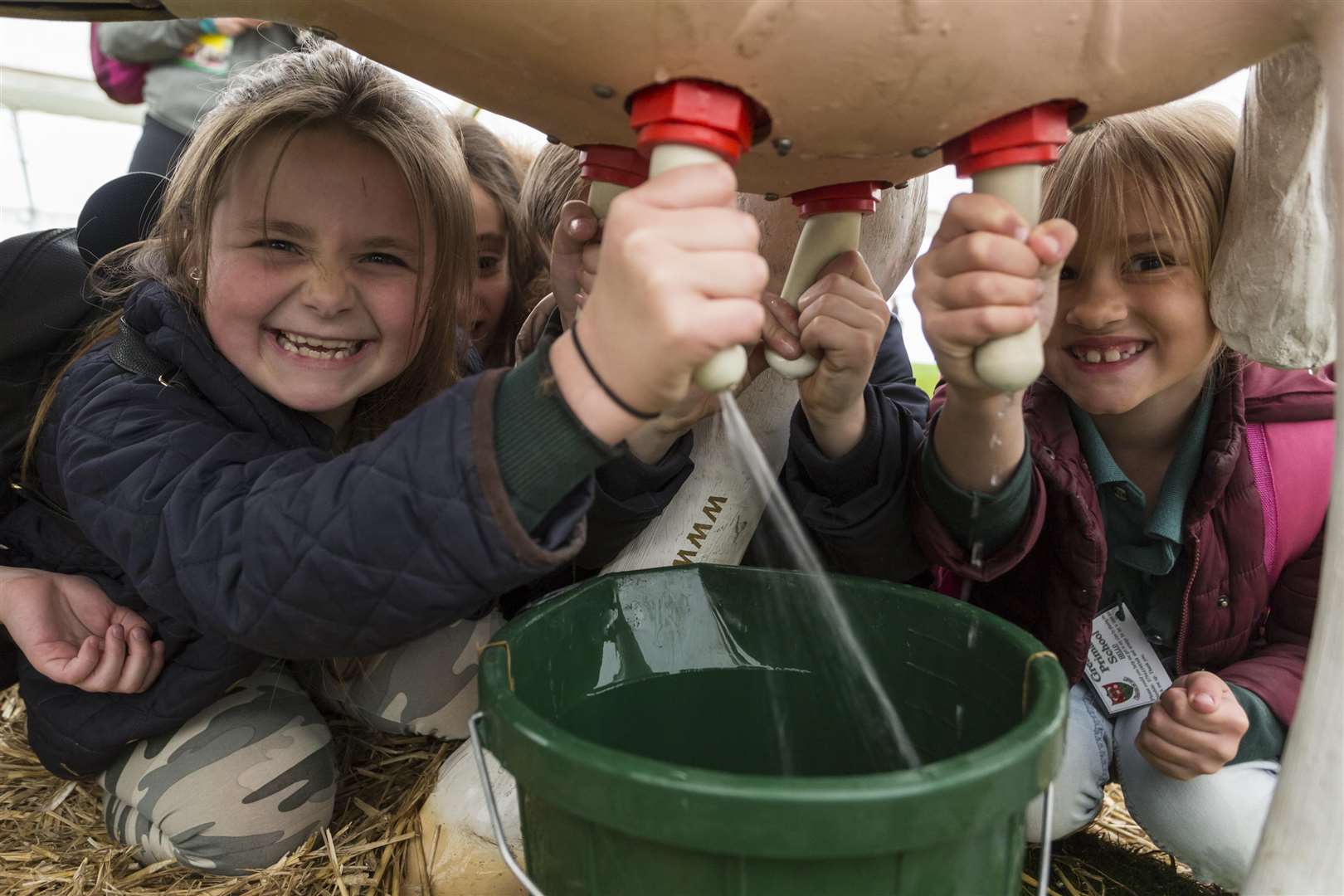 Children get a taster of the Kent County Show at its schools event in May, the Living Land Picture: Martin Apps